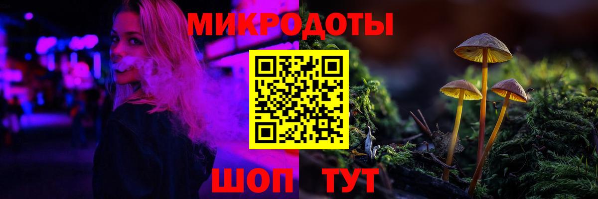Псилоцибиновые грибы Cubensis Абакан